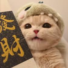 Ảnh đại diện của người dùng khác
